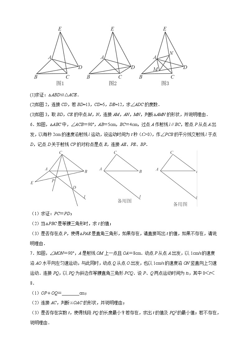 2022-2023学年八年级数学上学期期中分类复习专题02 勾股定理与全等结合的压轴题（含答案解析）03