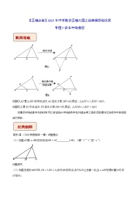 2023年中考数学压轴题培案 专题05 倍长中线模型（含答案解析）