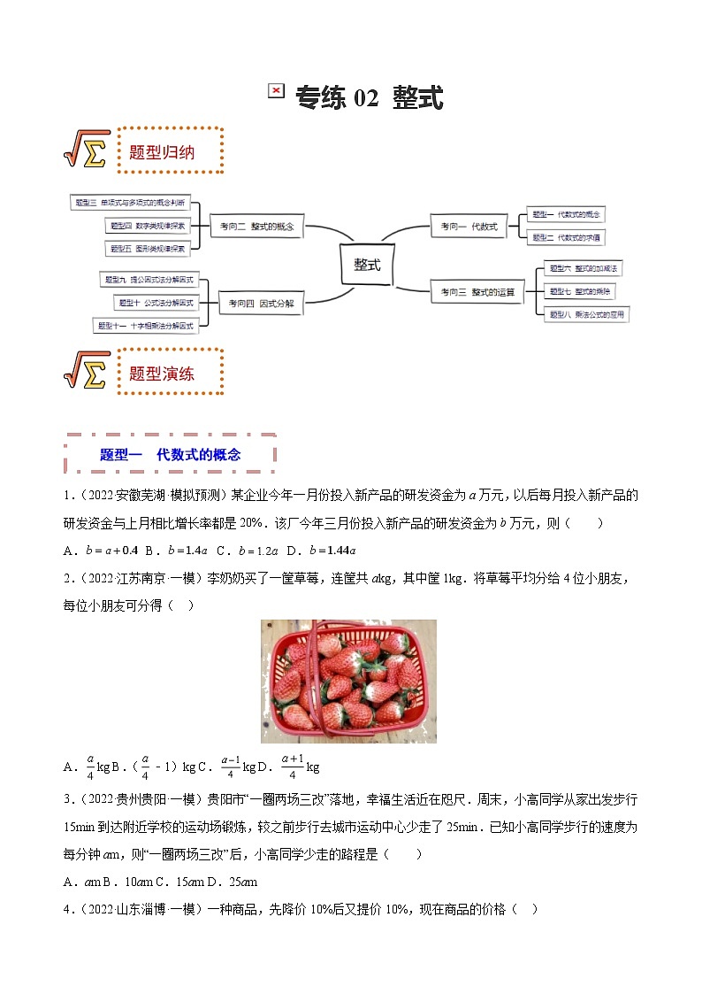 2023年中考数学一轮复习题型归纳专练02 整式第1页