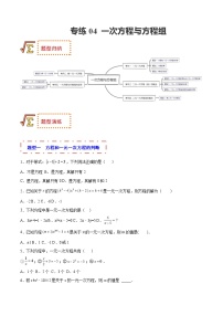 2023年中考数学一轮复习题型归纳专练04 一次方程与方程组