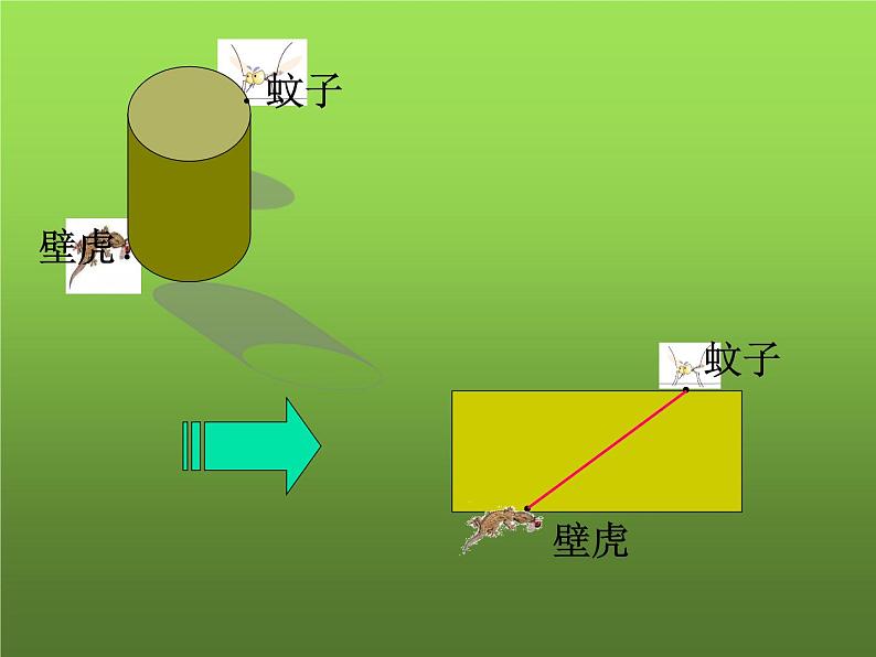 人教版七年级上册《立体图形与平面图形》教学课件第7页