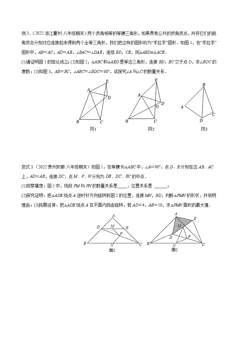 专题12.1 全等三角形九大基本模型 专项讲练（原卷版）第3页