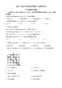 山东省枣庄市峄城区山东枣庄东方国际学校2022-2023学年八年级上学期第一次月考数学试题(含答案)