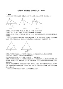 2022-2023学年八年级数学上学期期中分类复习专题05 期中解答压轴题