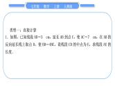 人教版七年级数学上第四章几何图形初步知能素养小专题(五)　线段的有关计算习题课件
