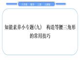 人教版八年级数学上第十三章轴对称小专题(九)　构造等腰三角形的常用技巧 习题课件