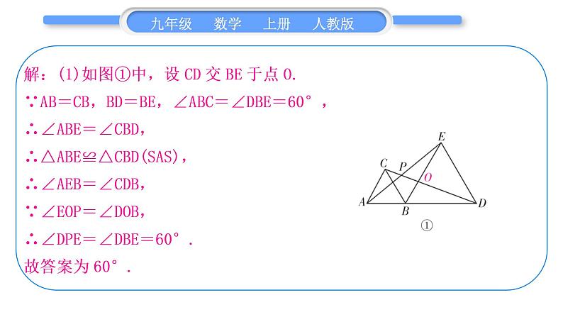 人教版九年级数学上第二十三章旋转知能素养小专题(七)　旋转中常见的几何模型习题课件04