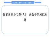 人教版九年級數(shù)學(xué)下第二十七章相似27.2相似三角形知能素養(yǎng)小專題(九)　函數(shù)中的相似問題習(xí)題課件