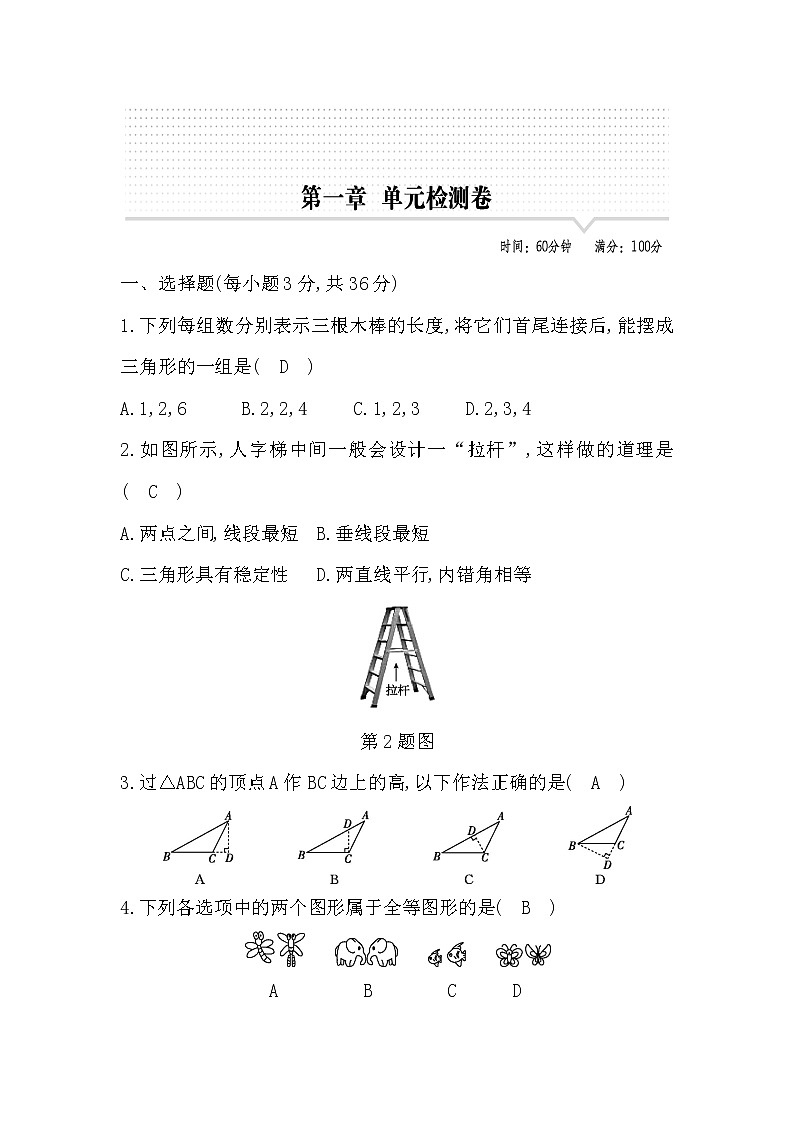 鲁教版五四制七年级数学上册第一章三角形测试题及答案第1页