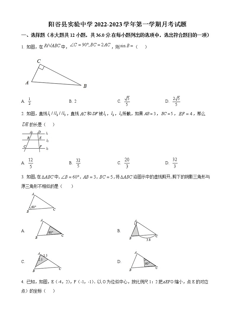山东省聊城市阳谷县实验中学2022-2023学年九年级上学期第一次月考数学试题(含答案)01