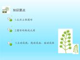 2022七年级数学上册第一章丰富的图形世界1.1生活中的立体图形课件（北师大版）