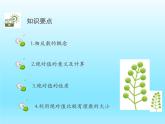 2022七年级数学上册第二章有理数及其运算2.3绝对值课件（北师大版）