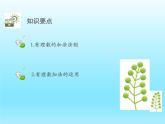 2022七年级数学上册第二章有理数及其运算2.4有理数的加法第1课时有理数的加法法则课件（北师大版）