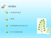 2022七年级数学上册第二章有理数及其运算2.7有理数的乘法第1课时有理数的乘法运算法则课件（北师大版）