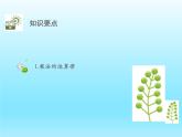 2022七年级数学上册第二章有理数及其运算2.7有理数的乘法第2课时有理数的乘法运算律课件（北师大版）