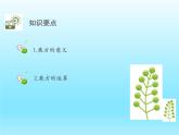 2022七年级数学上册第二章有理数及其运算2.9有理数的乘方课件（北师大版）