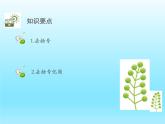 2022七年级数学上册第三章整式及其加减3.4整式的加减第2课时去括号课件（北师大版）