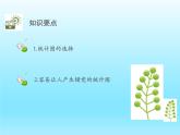 2022七年级数学上册第六章数据的收集与整理6.4统计图的选择课件（北师大版）
