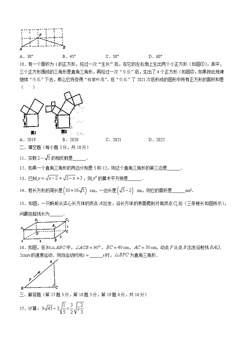 辽宁省辽阳市灯塔市实验中学2022-2023学年八年级上学期10月月考数学试题(含答案)第2页