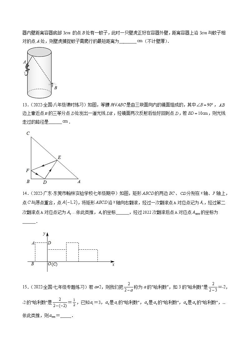 北师大版八年级数学上学期期中压轴精选30题-八年级数学上学期期中期末考点大串讲（北师大版）03
