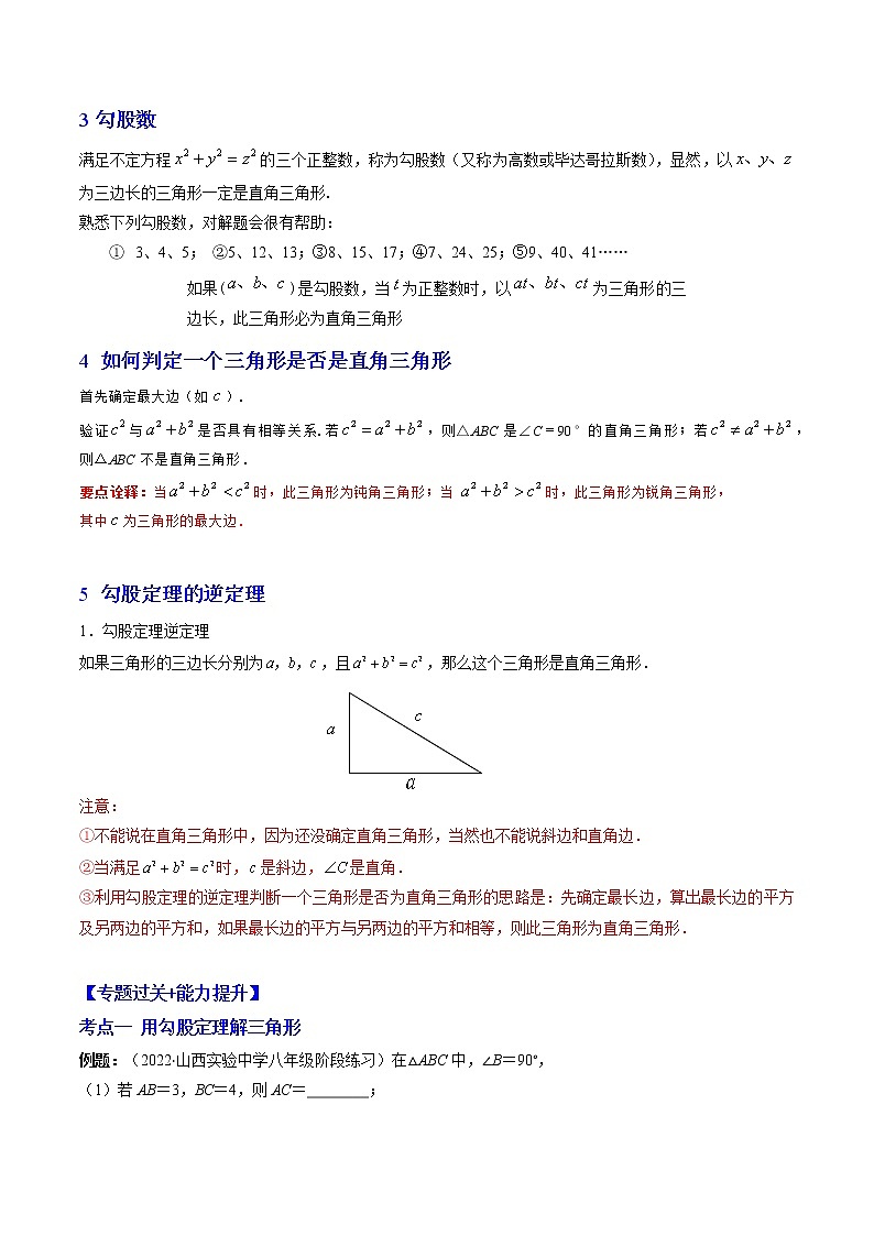 专题01 勾股定理（突破核心考点）【知识梳理+解题方法+专题过关】 （解析版）第3页
