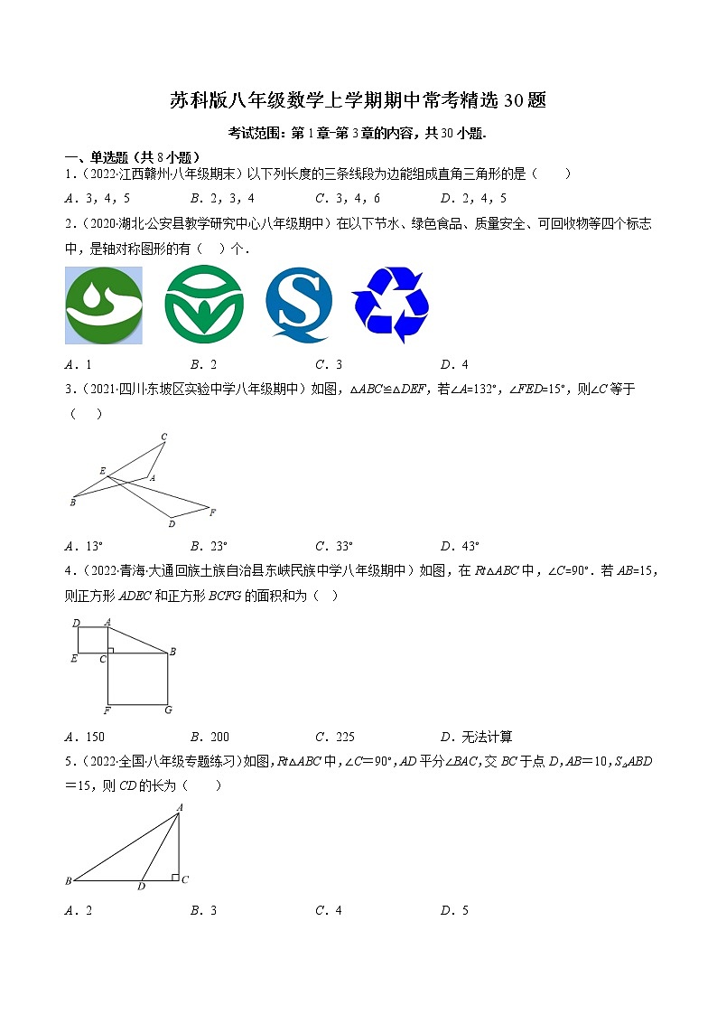 苏科版八年级数学上学期期中常考精选30题-2022-2023学年八年级数学上学期期中期末考点大串讲（苏科版）01