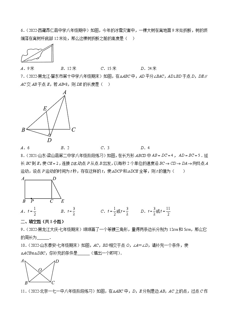 苏科版八年级数学上学期期中常考精选30题-2022-2023学年八年级数学上学期期中期末考点大串讲（苏科版）02