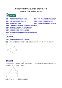 苏科版八年级数学上学期期中易错精选40题-2022-2023学年八年级数学上学期期中期末考点大串讲（苏科版）