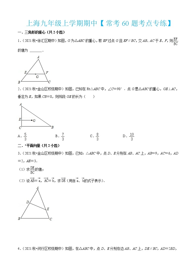 上海九年级上学期期中【常考60题考点专练】-2022-2023学年九年级数学上学期期中期末考点大串讲（沪教版）01