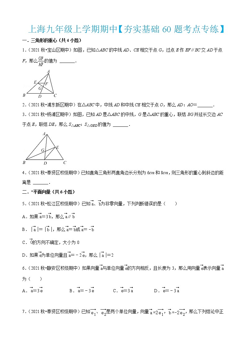 上海九年级上学期期中【夯实基础60题考点专练】-2022-2023学年九年级数学上学期期中期末考点大串讲（沪教版）01
