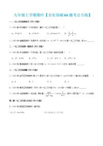 九年级上学期期中【夯实基础60题考点专练】-2022-2023学年九年级数学上学期期中期末考点大串讲（人教版）