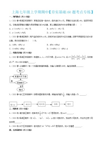 上海七年级上学期期中【夯实基础60题考点专练】-2022-2023学年七年级数学上学期期中期末考点大串讲（沪教版） (2)