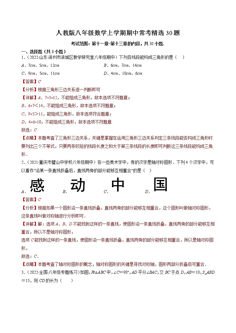 2022-2023学年人教版数学八年级上册考点大串讲  人教版八年级数学上学期期中常考精选30题01