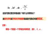 4.4 整式 浙教版數(shù)學(xué)七年級上冊同步新授課件