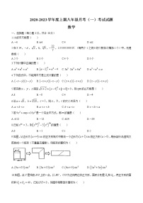 河南省驻马店市上蔡县第一初级中学2022-2023学年八年级上学期10月月考数学试题(含答案)