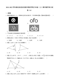 湖北省武汉实验外国语学校2021-2022学年上学期八年级期中数学练习试卷(含答案)