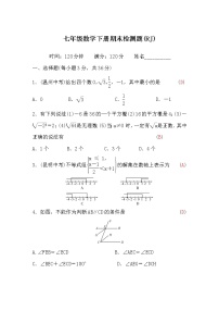 人教版七年级数学下册期末检测题(word版，含答案)