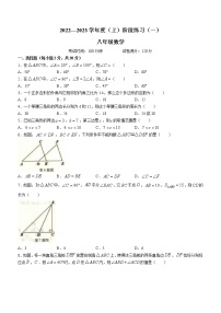 辽宁省抚顺市望花区2022-2023学年八年级上学期阶段练习（一）数学试题(含答案)