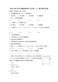 2022-2023学年安徽省蚌埠市八年级（上）期中数学试卷-（含解析）