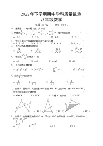 湖南省岳阳市岳阳县2022-2023学年八年级上学期11月期中数学试题(含答案)