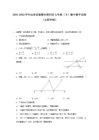 2021-2022学年山东省淄博市周村区七年级（下）期中数学试卷（五四学制）（含解析）