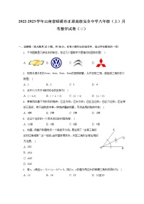 2022-2023学年云南省昭通市正道高级完全中学八年级（上）月考数学试卷（二）（含解析）