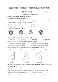 浙江省温州市乐清虹桥一中教育集团2022-2023学年八年级上学期期中检测数学试卷(含答案)