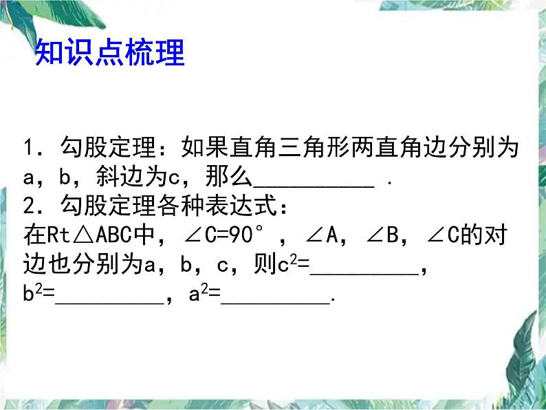 北师大版 八年级上册 勾股定理复习课 优质课件02