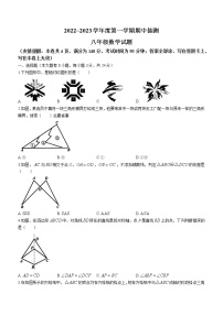 江苏省徐州市2022-2023学年八年级上学期期中数学试题(含答案)