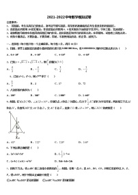 四川省眉山市东坡区东坡区东坡中学2022年中考数学模拟试题含解析