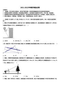 天津市达标名校2021-2022学年中考数学考试模拟冲刺卷含解析