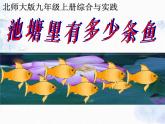 北师大版 九年级上册 综合与实践：池塘里有多少条鱼 优质课件