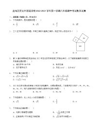 广东省深圳市龙岗区贤义外国语学校2022-2023学年上学期八年级期中考试数学试卷(含答案)