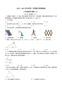 山东省滨州市滨城区2022-2023学年八年级上学期期中数学试题(含答案)